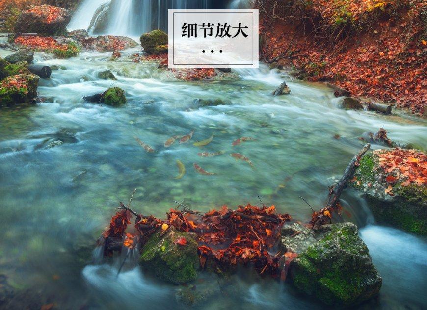 动动大脑瓜宫斗照片墙通关攻略